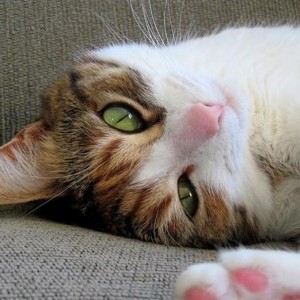 Photo de profil de Steph92